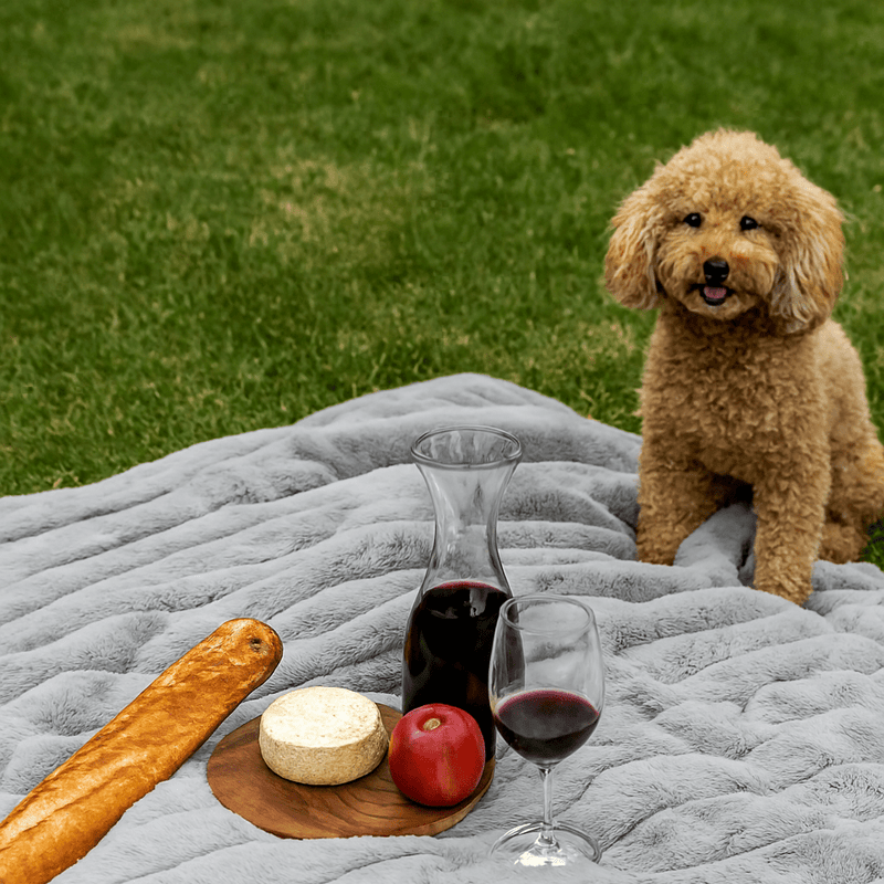 Gray Ribbed Faux Rabbit and Velvet Blanket - Connecticut Crafted - One Preevay Picnic