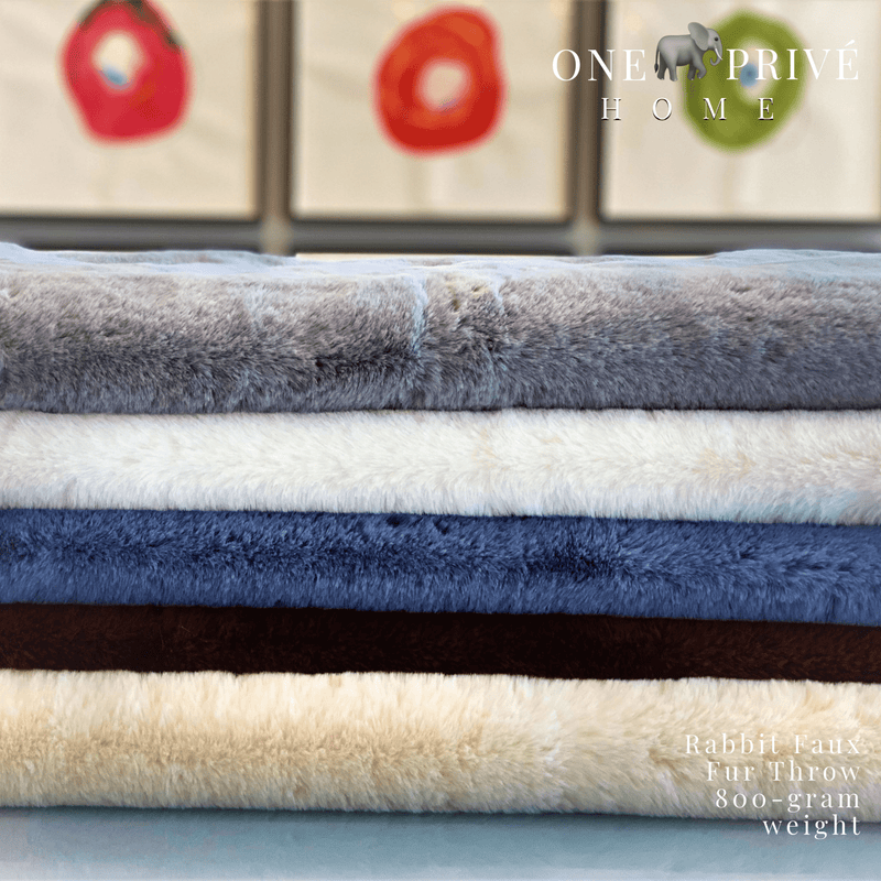 Indulge in the epitome of luxury with the One Preevay Faux Rabbit Fur Throw in Pure White. Inspired by the elegance of Fernando Botero and crafted from ultra-premium faux rabbit fur. Hypoallergenic, cruelty-free, and lined with elegant velvet for refined warmth and sophistication. 800gsm, 50x60 inches. ALL